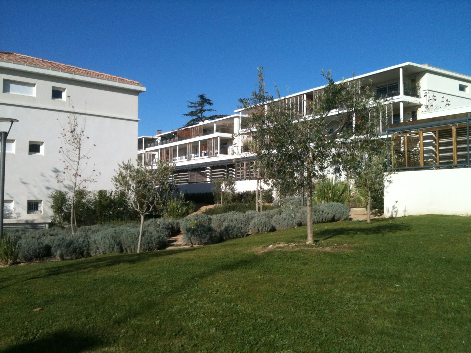 Parc Des Vieux Cypres 13013