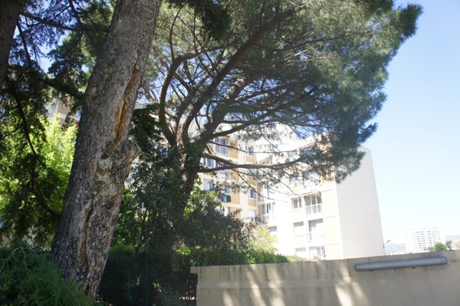 Image_6, Appartement, Marseille, ref :1357